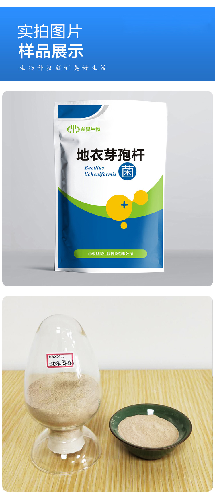 地衣芽孢桿菌