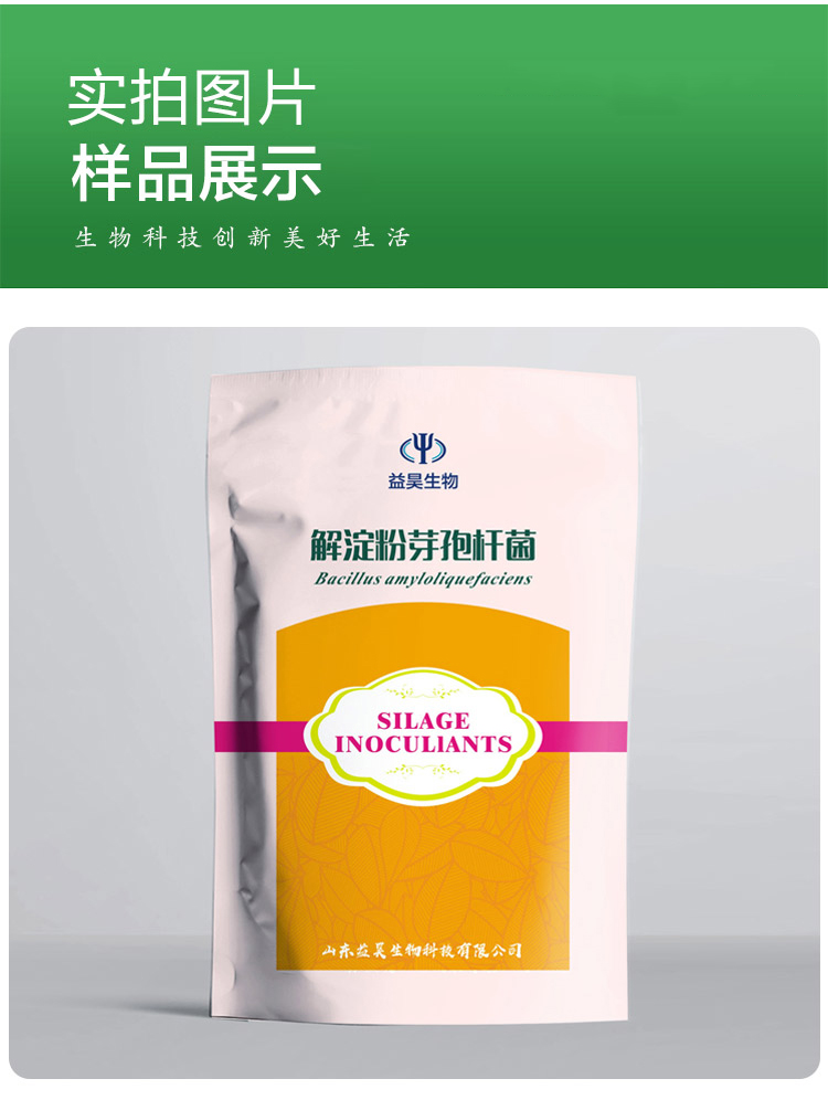 解淀粉芽孢桿菌