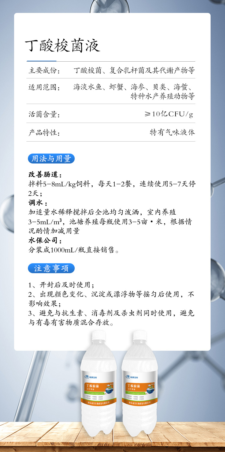 丁酸梭菌