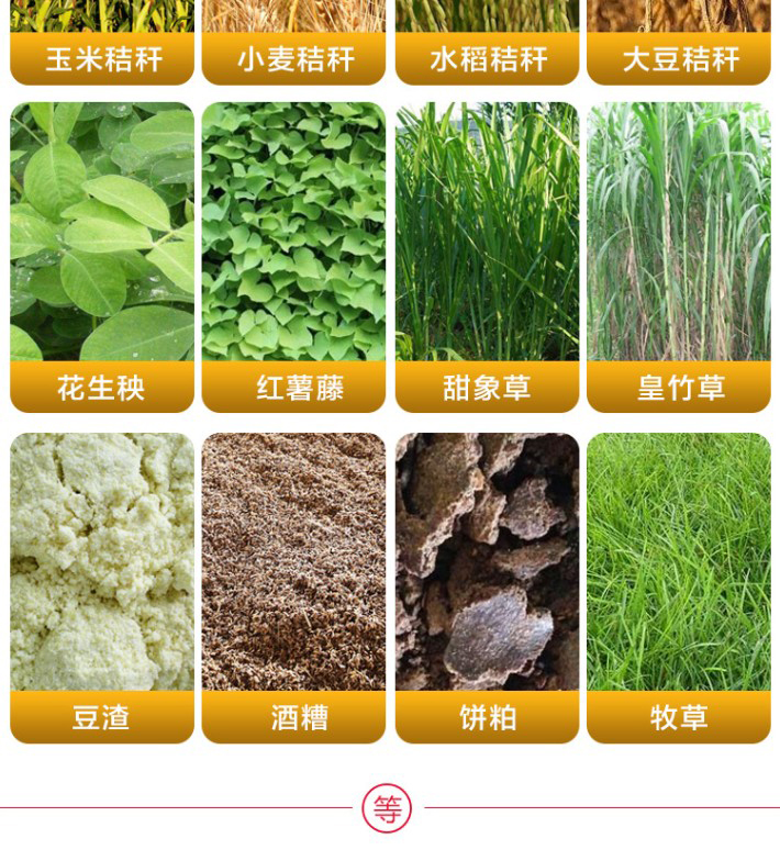 青貯元 青貯飼料發(fā)酵劑